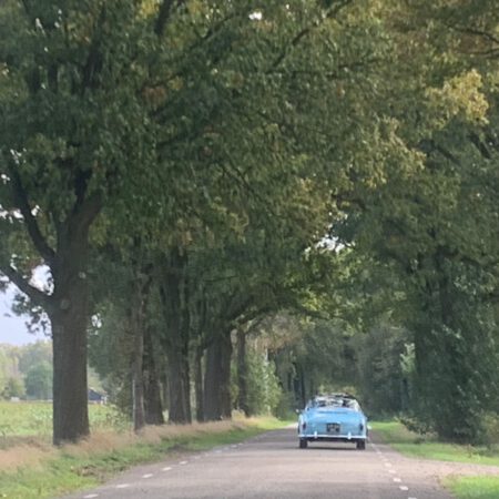 cc4fd251-600e-4bd6-a89f-a54171daaf2c